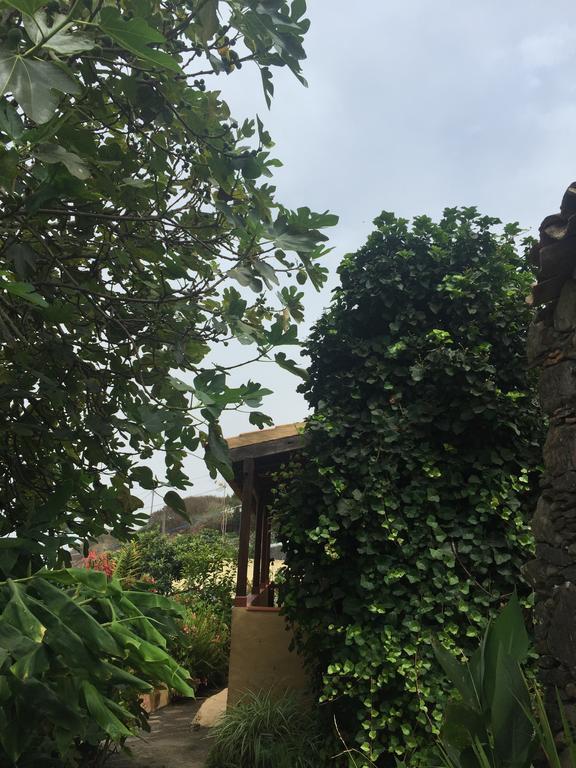 Casa Rural Las Rosas Agulo Eksteriør bilde